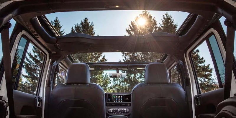 View from back seat of a Jeep looking forward through the open roof at sunny sky and pine trees.