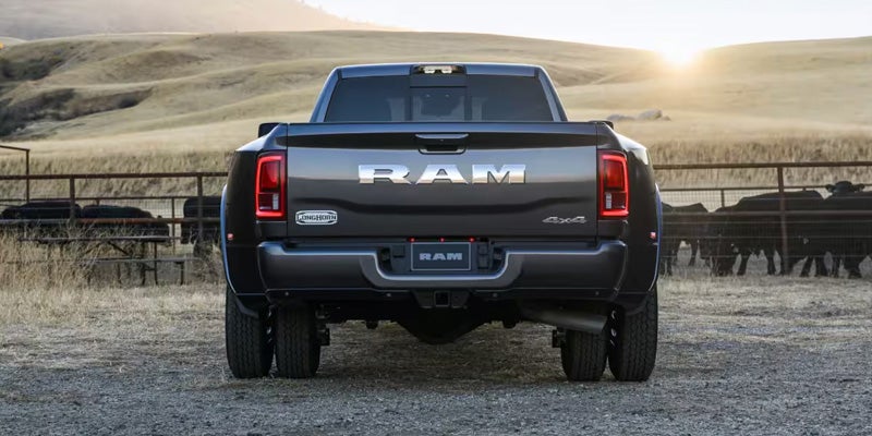 Rear view of a heavy-duty Ram 3500 dually truck in a rural field with cows and a fence.